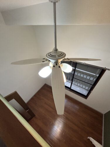 IMG_0594